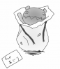 f2.jpg